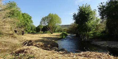 El Morell recuperarà el bosc de ribera a la Granja dels Frares