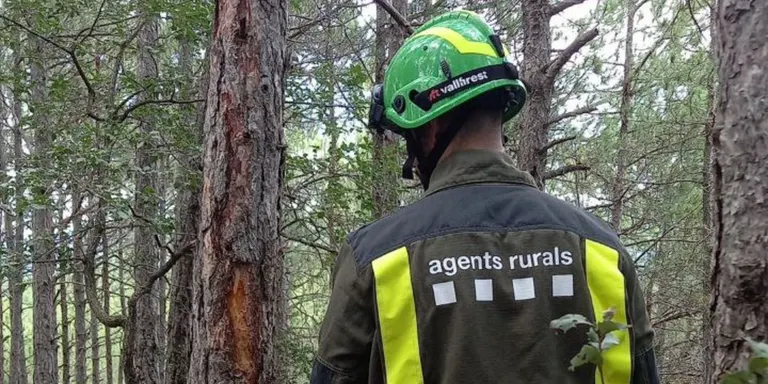Un llamp provoca un petit incendi forestal a Navès