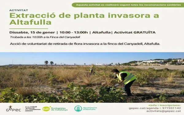 La finca del Canyadell acull aquest dissabte una jornada per retirar espècies invasores de l'entorn natural