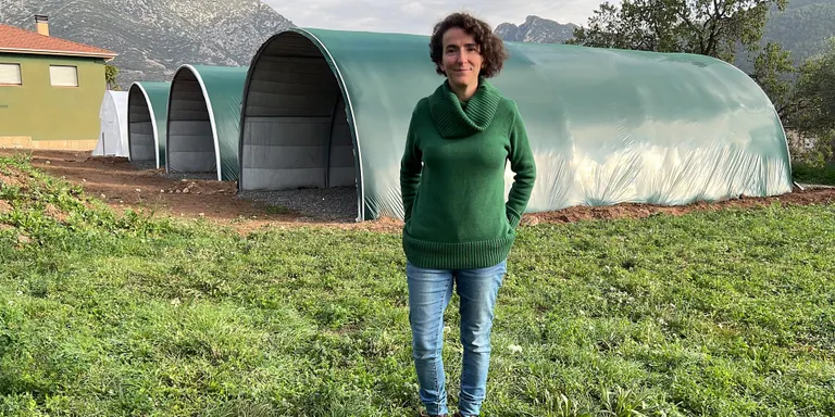 El primer cultiu de gírgoles ecològiques de Catalunya, a principis de l'any que ve a Organyà