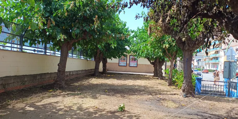 La Brigada Municipal neteja la parcel·la adjacent a l'estació de RENFE