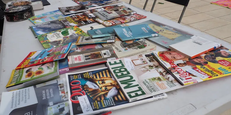 Nova edició de la Bibliopiscina a la Seu