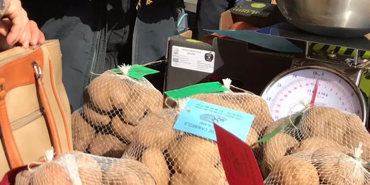 Un punt de venda directa de trumfos substituirà el mercat de la Fira del Trumfo i la Tòfona