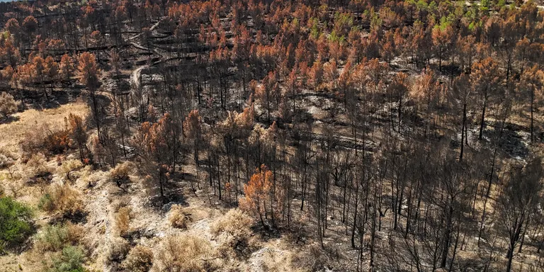 Investiguen una persona que podria haver causat l'incendi a Paüls per l'abocament de cendres en zona agrícola