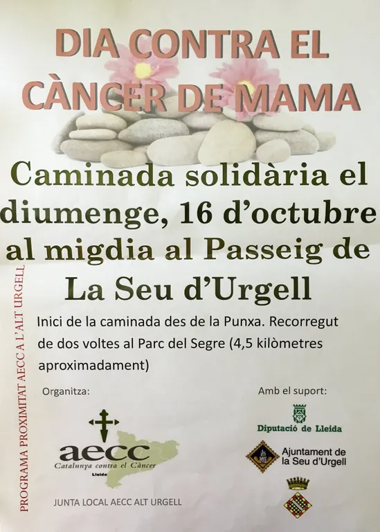 Caminada solidària a la Seu pel Dia contra el Càncer de Mama