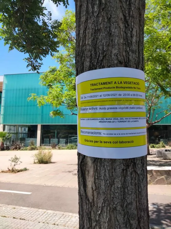Segueix el tractament fitosanitari de l’arbrat
