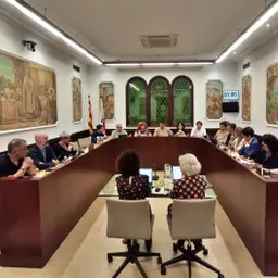 Ple Municipal del 29/10/2026 - episode art