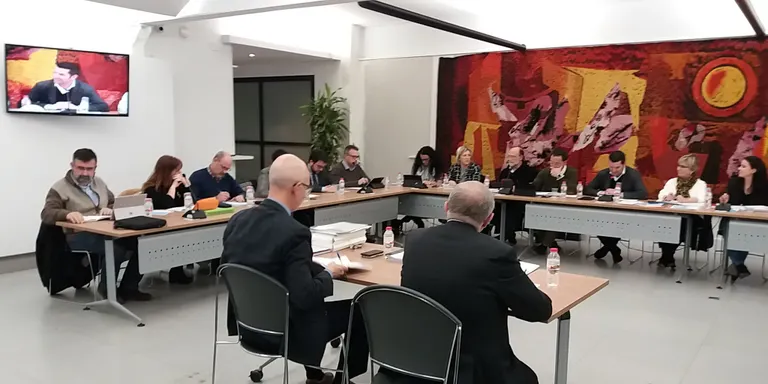 Altres punts del Ple Municipal de gener
