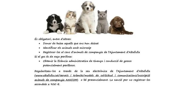 Altafulla engega una campanya per promoure el registre i la identificació dels animals de companyia