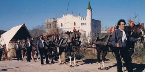 La Societat de Sant Antoni celebra 40 anys d’història, tradició i passió