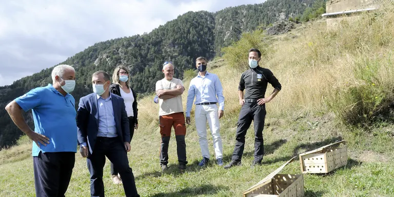 Alliberades a Andorra més d’un centenar de perdius xerra