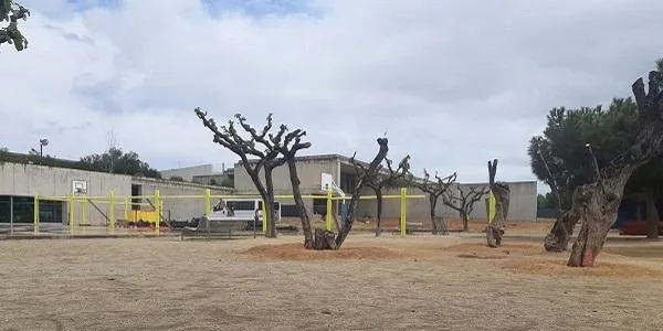 L’aturada lectiva de Setmana Santa permet realitzar la intervenció més molesta de la construcció del gimnàs de La Portalada