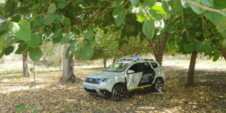Els robatoris al camp passen de la garrofa a l'oliva