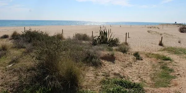 Creixell impulsa una neteja voluntària de la platja el pròxim 8 de maig