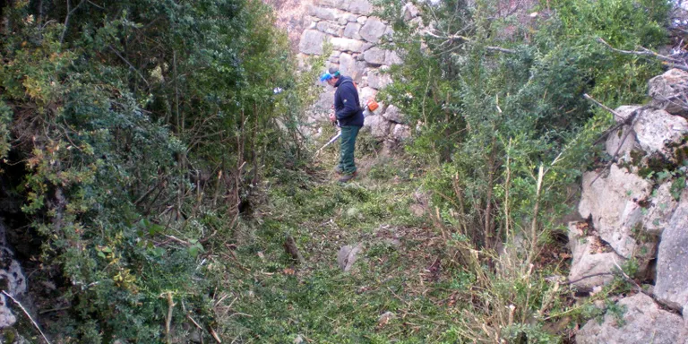 Tasques de condicionament i neteja als senders de la Seu