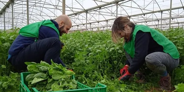 Horta Blanch se suma a la iniciativa dels Espigoladors per recuperar els productes menys rendibles del camp