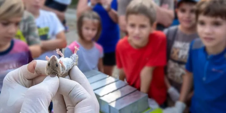 Impulsen la proposta educativa dels espais naturals de Ponent