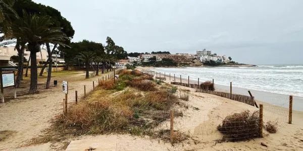 Altafulla explicarà el seu pla de gestió de la platja a les Corts Valencianes