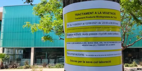 Segueix el tractament fitosanitari de l’arbrat