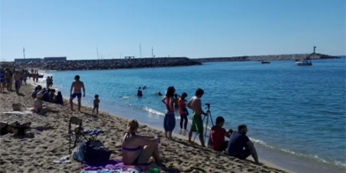 Bon paper dels equips del Club de Rem d’Arenys a la regata disputada en aigües de la nostra vila