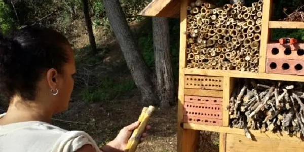 L’Escola El Corriol d’Altafulla s’obre a la ciutadania per apropar la natura a la canalla