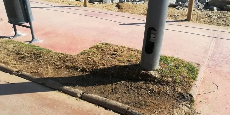 El govern ha confirmat que les obres al Passeig Marítim continuaran