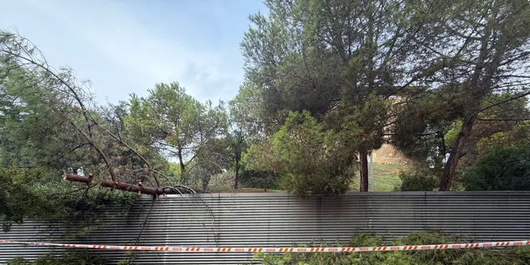 Arbres caiguts i talls de llum: els aiguats no deixen afectacions greus a Rubí