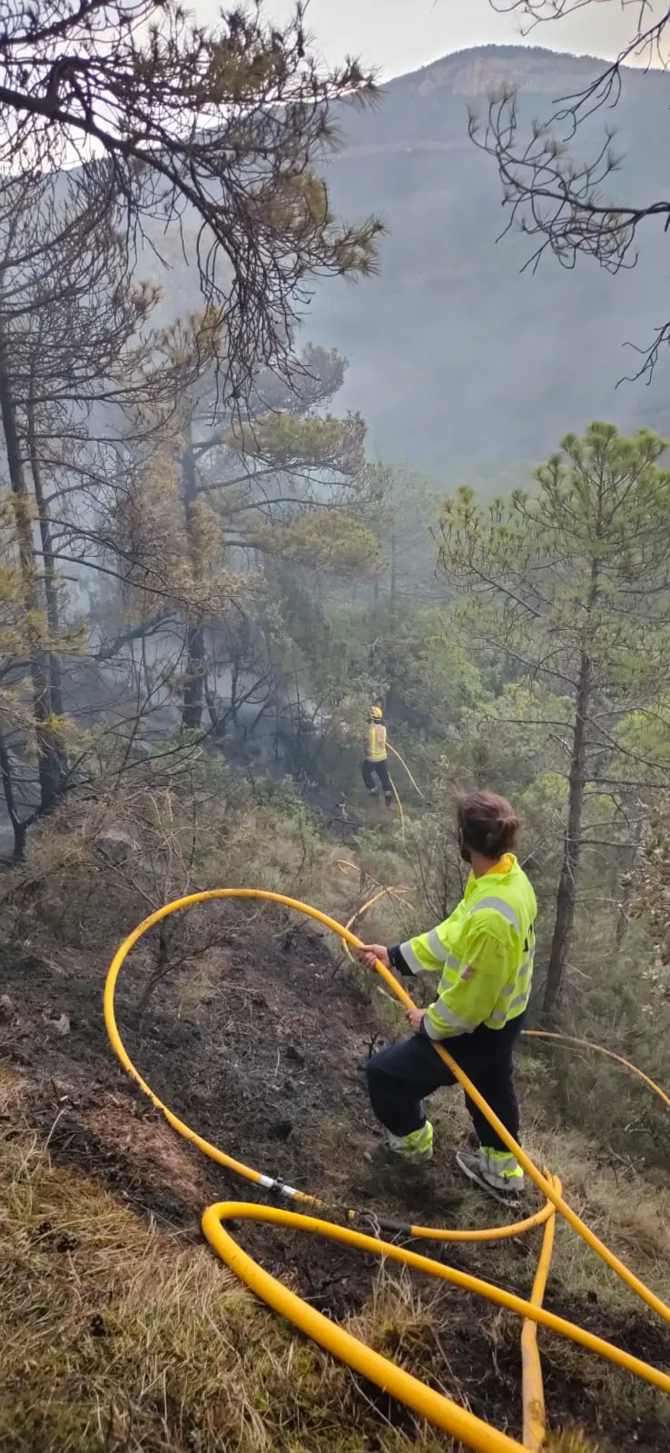 <strong>Les ADF del Solsonès, molestes amb el Consell Comarcal per no convocar-les a una reunió de treball sobre incendis forestals</strong>