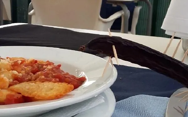 Les Jornades Gastronòmiques de la Garrofa d’Altafulla encaren la seva recta final