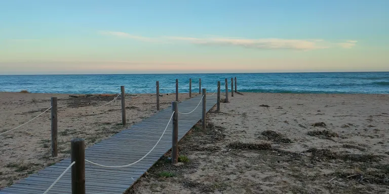 Entitats i col·lectius arenyencs aporten propostes per millorar la platja i el litoral arenyenc