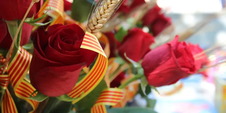 El dia 23 d’abril es farà la tradicional fira de sant Jordi i, igual que l’any passat, sols les floristeries podran vendre roses