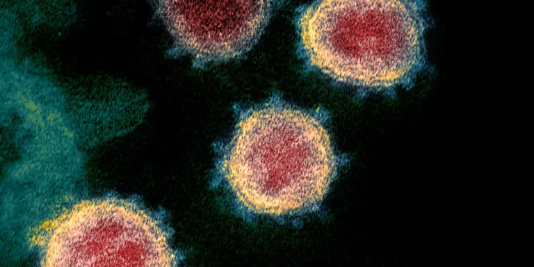 Dades sobre coronavirus corresponents a Vilassar de Mar 11-06-2020