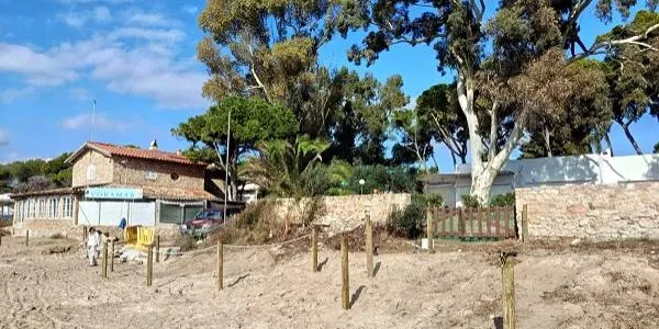 El cordó dunar de la platja d’Altafulla s’allarga fins al Fortí