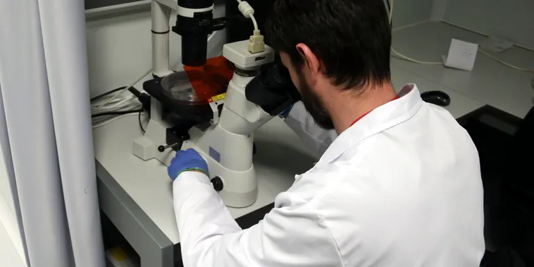 L'IRB descobreix un anticòs que frena la metàstasi d'alguns tumors però no danya les cèl·lules sanes
