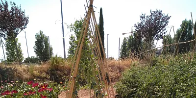 El DARP promou la biodiversitat cultiva