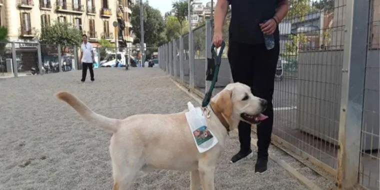 L’Ajuntament d’Arenys de Munt ha adquirit una màquina per detectar si els gossos porten microxip, tal com obliga la llei