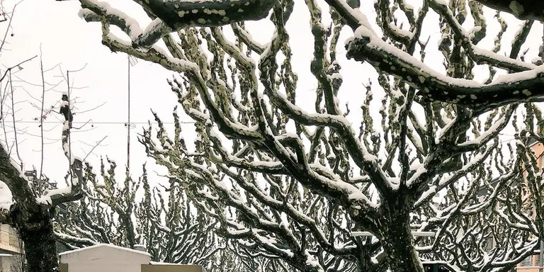 Tasques de retirada de la neu a la Seu d'Urgell