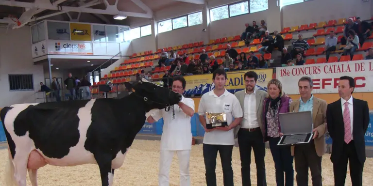 Èxit organitzatiu i de resultats locals al Concurs Català de Raça Frisona 2015