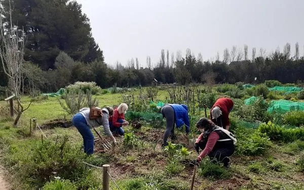 Foto: Hort de la Sínia