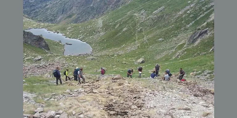 Alcaldes i ramaders del Pallars Sobirà fan un balanç crític de la reintroducció de l'ós bru