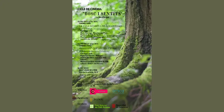 Cinemes Guiu inicia el cicle de cinema 'Bosc i sentits'