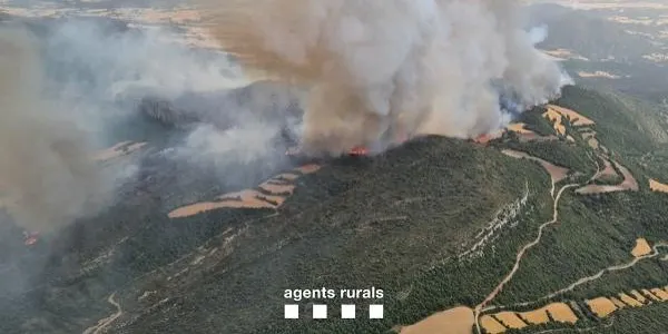 L'incendi de Corbera d’Ebre està estabilitzat en un 90% del seu perímetre