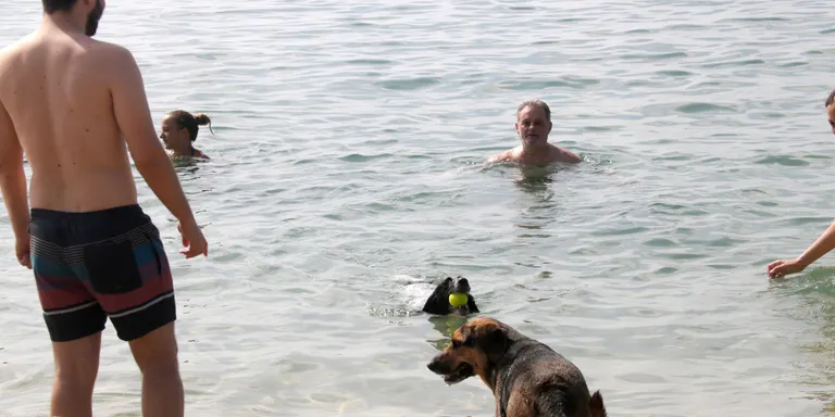 El Maresme aposta pel 'pet friendly' per atraure visitants