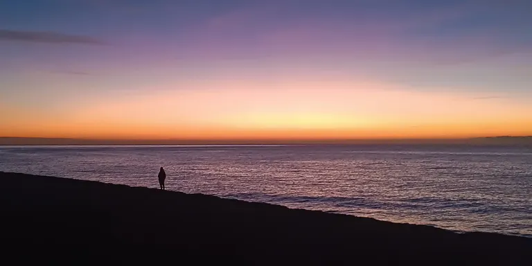 Ambient primaveral a ple mes de desembre