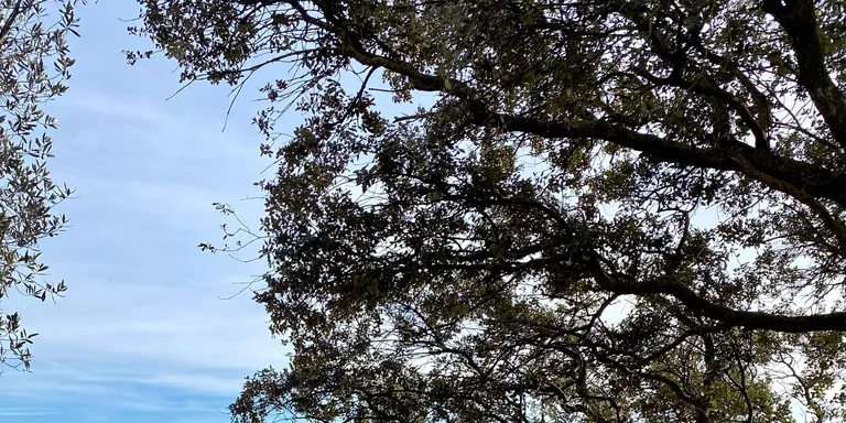 El consistori solsoní inicia la renovació de la senyalització de les masies del Vinyet