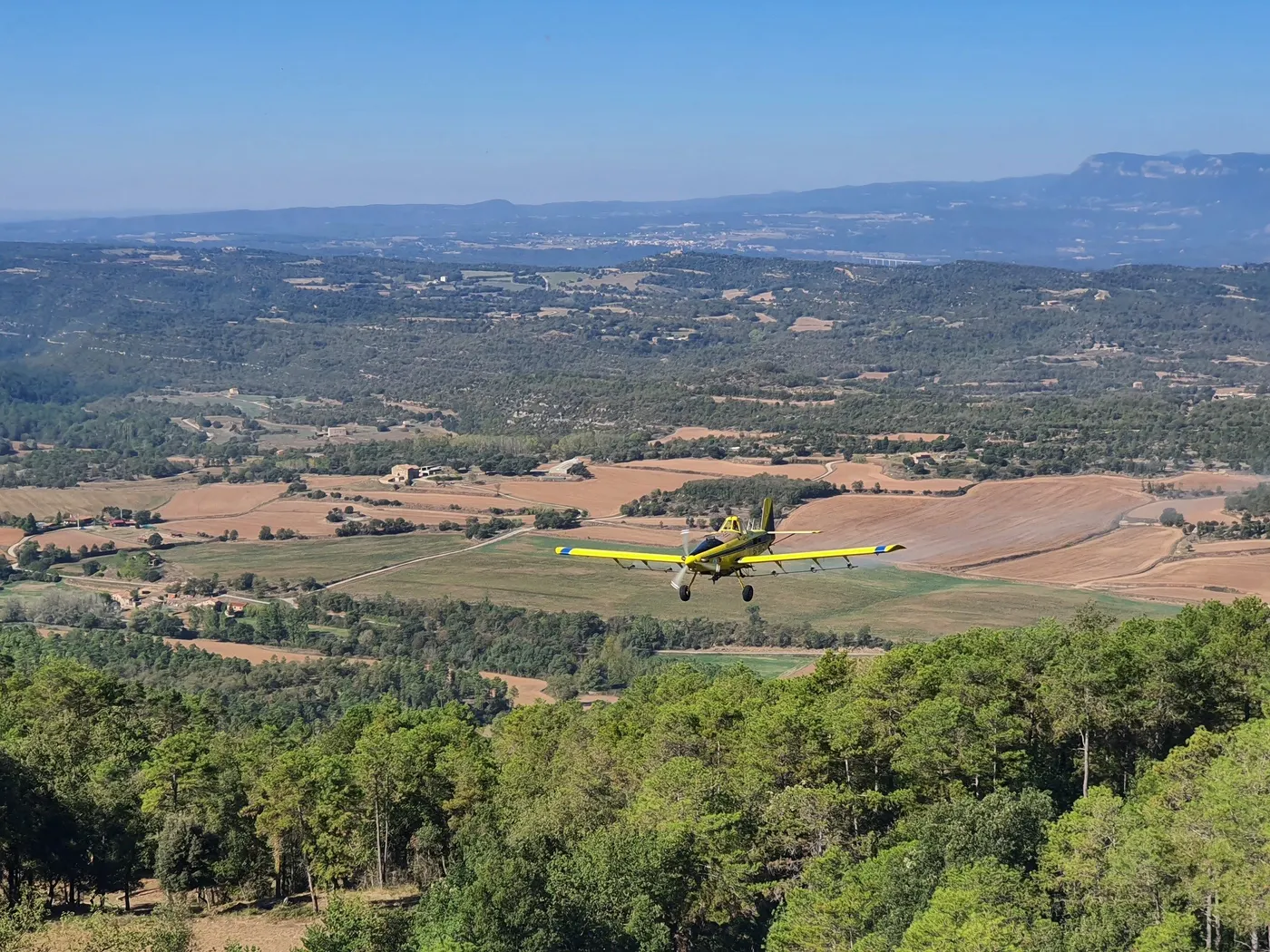 <strong>Un 26% del tractament biològic aeri per la processionària del pi a Catalunya s'aplica al Solsonès</strong>