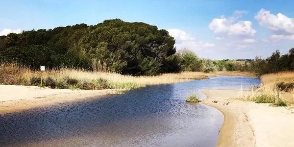 L’Associació Mediambiental la Sínia d’Altafulla emprèn una aventura virtual mentre duri l’estat d’alarma pel coroanvirus
