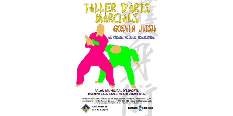 Primer taller d'arts marcials al Palau d'Esports de la Seu