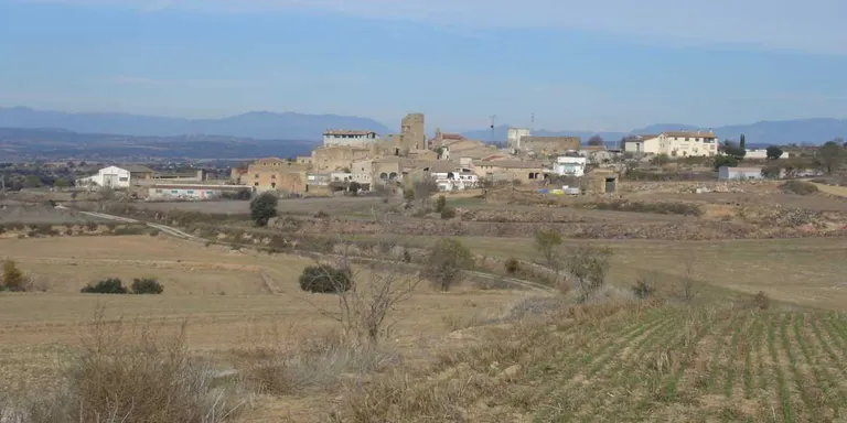Caminada solidària per la Marató de TV3