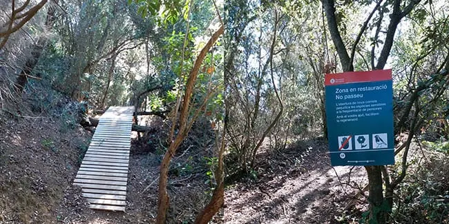 Es desmantella un circuit de BTT al Montnegre que no tenia el permís de la propietat ni del parc